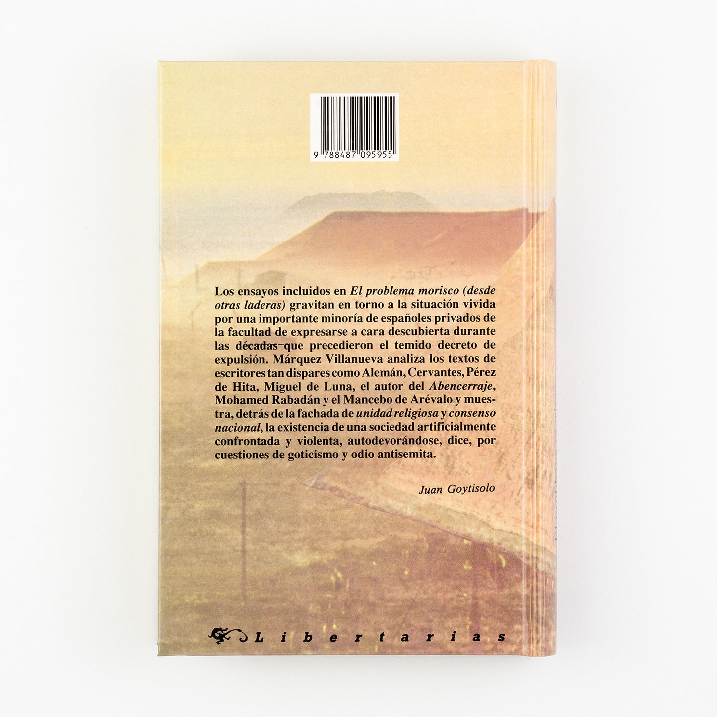 El problema morisco. Desde otras laderas