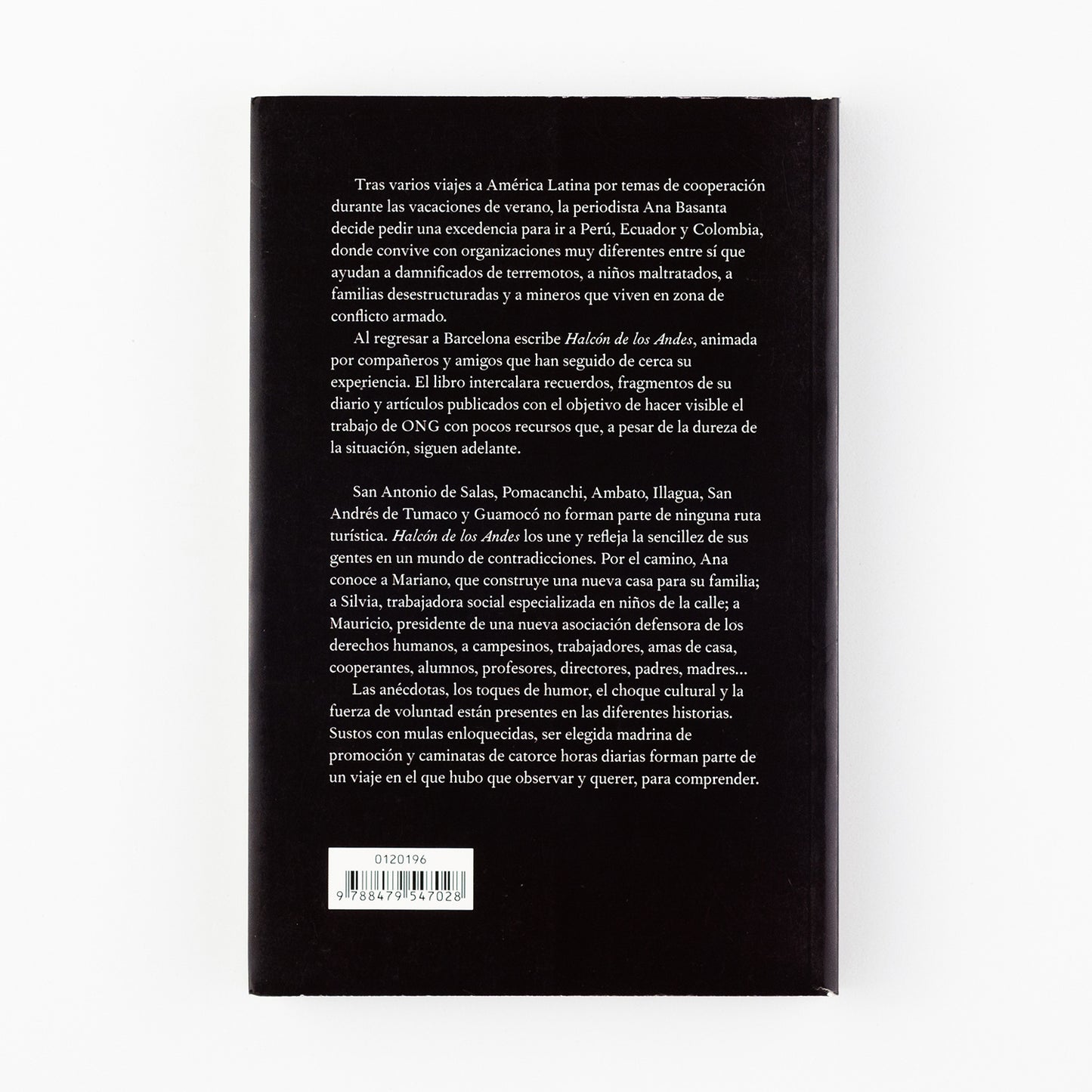 Halcón de los Andes