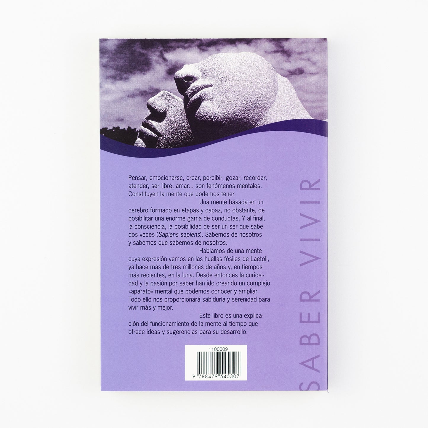 El diamante sin límites. La mente que podemos tener