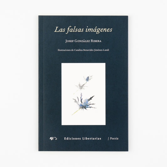 Las falsas imágenes