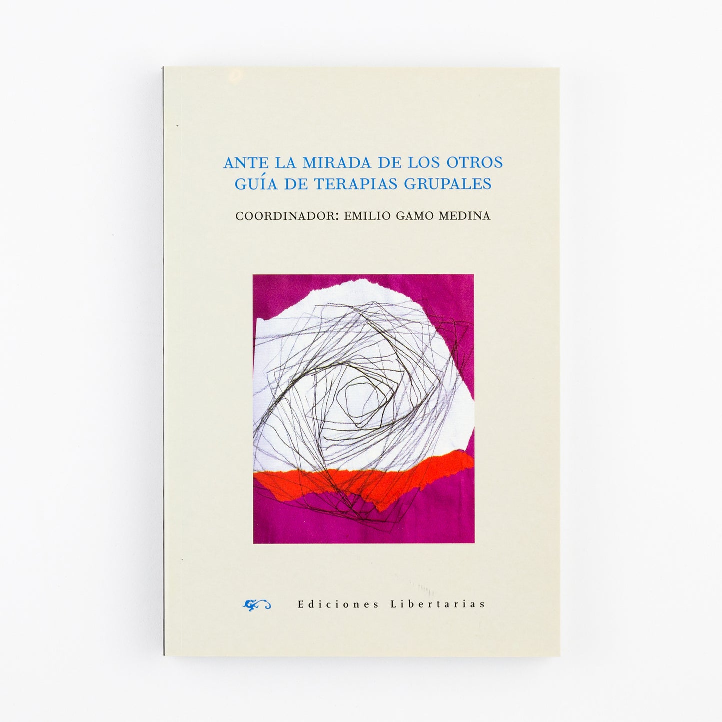 Ante la mirada de los otros. Guía de terapias grupales