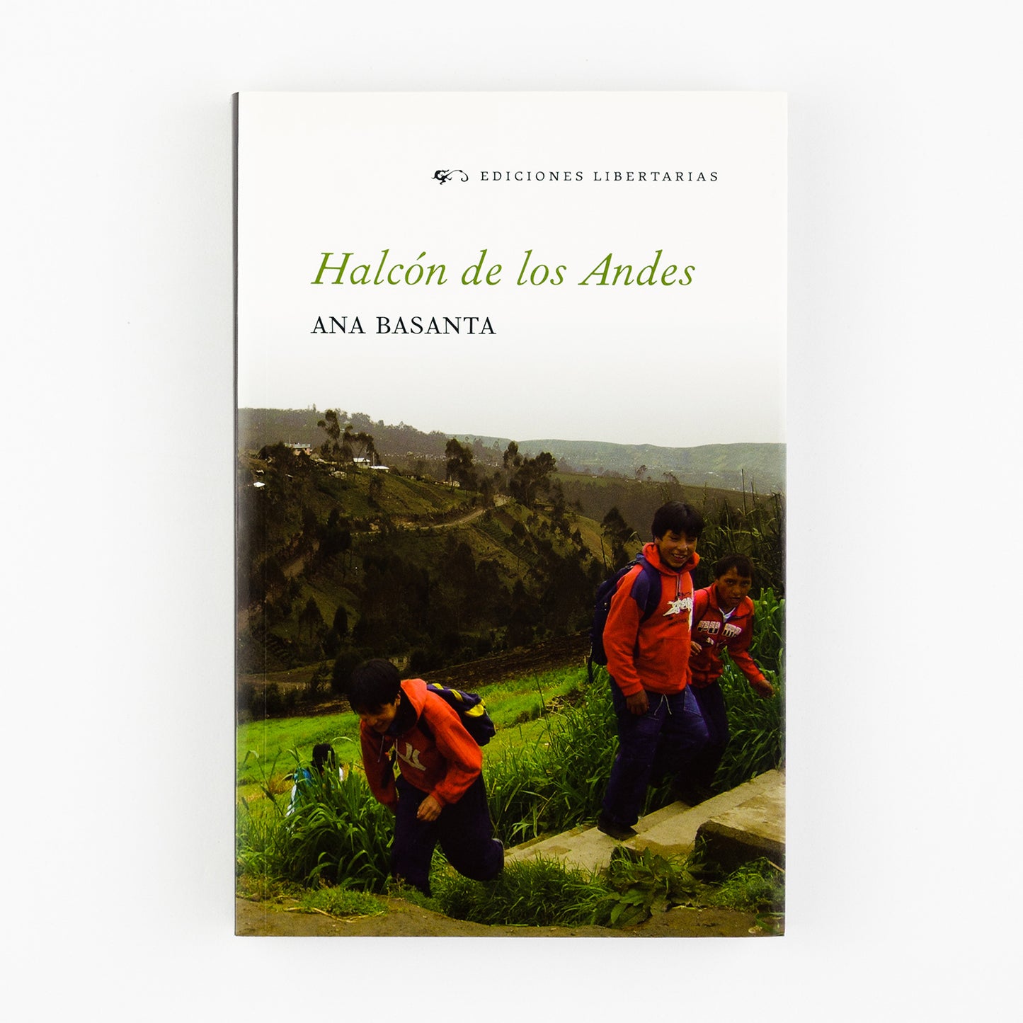 Halcón de los Andes