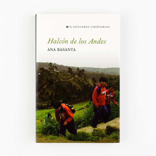 Halcón de los Andes