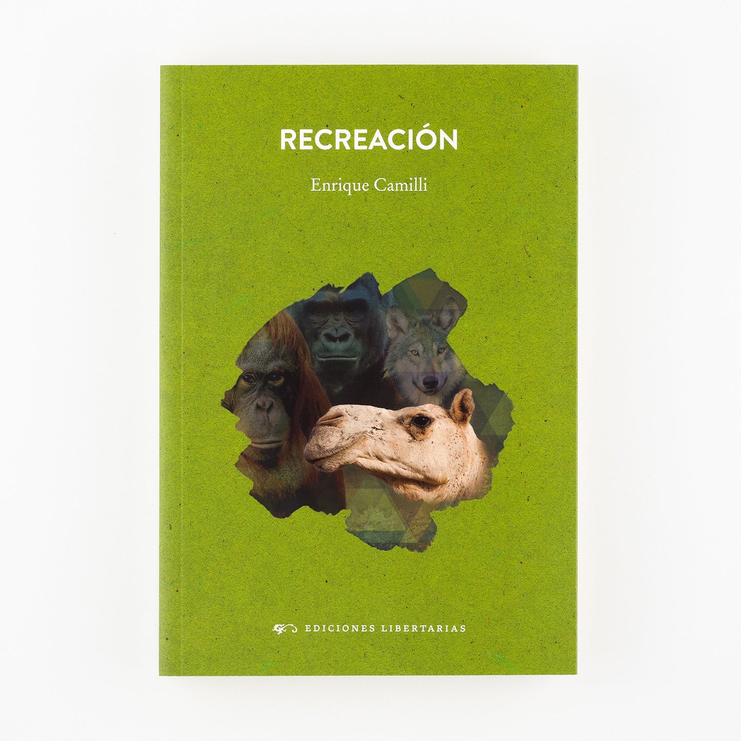 Recreación